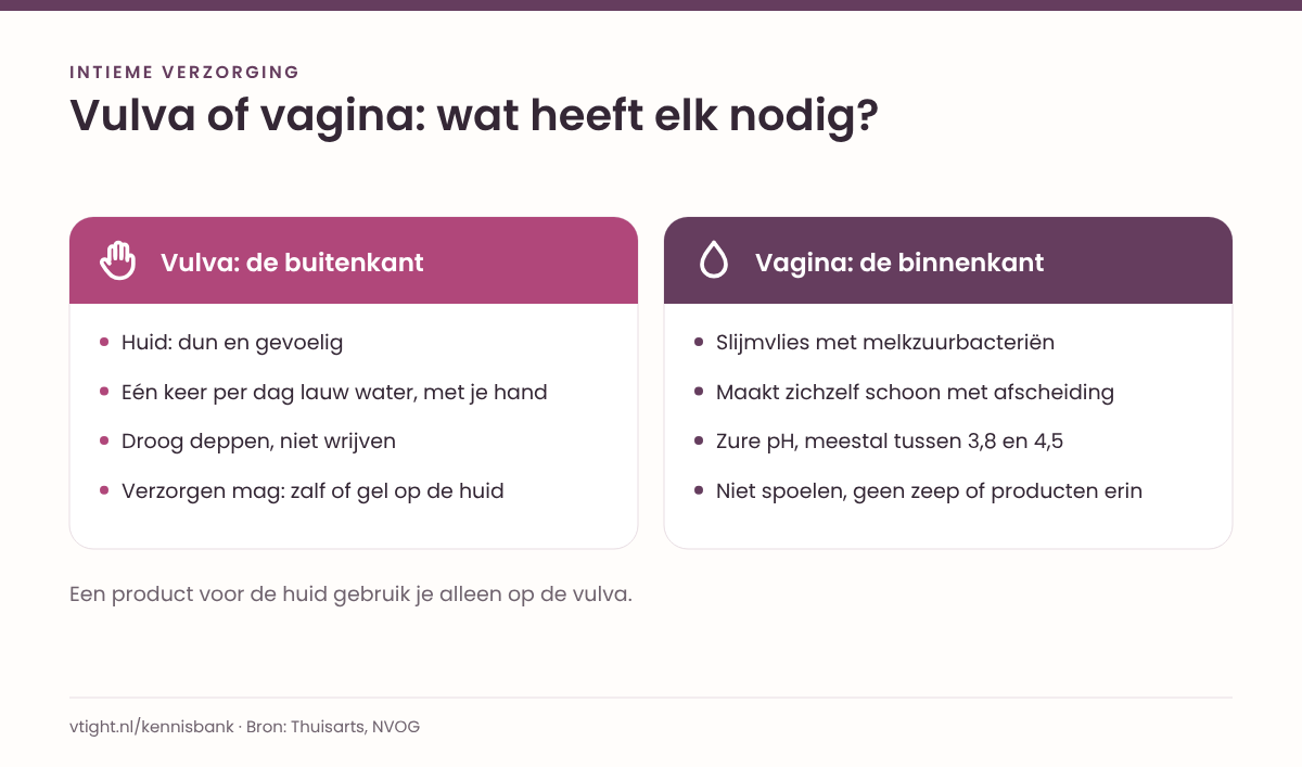 Twee kolommen naast elkaar: links de vulva als huid met de dagelijkse verzorging, rechts de vagina als slijmvlies dat zichzelf schoon houdt.